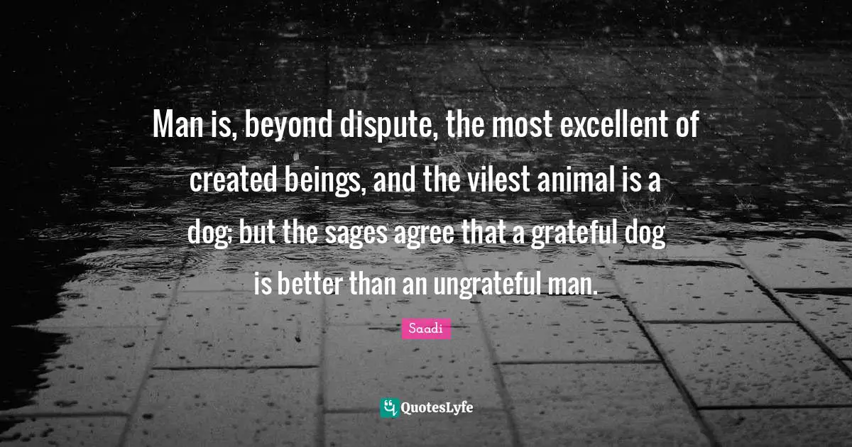 Saadi Quotes: "Man is, beyond dispute, the most excellent of created beings, and the vilest animal is a dog; but the sages agree that a grateful dog is better than an ungrateful man."
