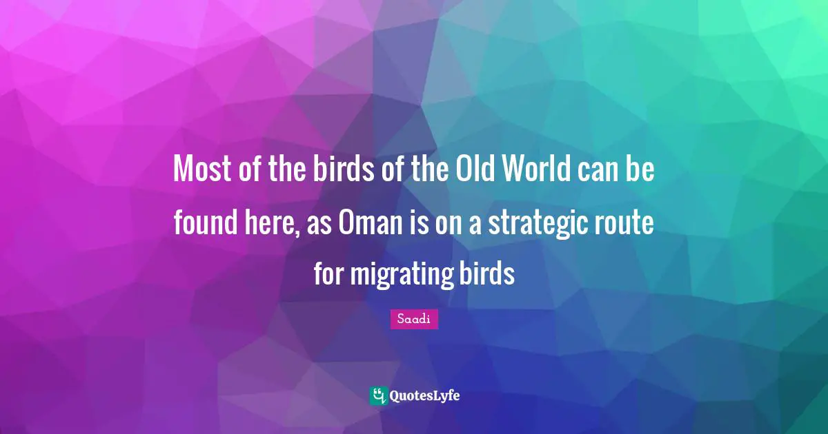 Most of the birds of the Old World can be found here, as Oman is on a strategic route for migrating birds