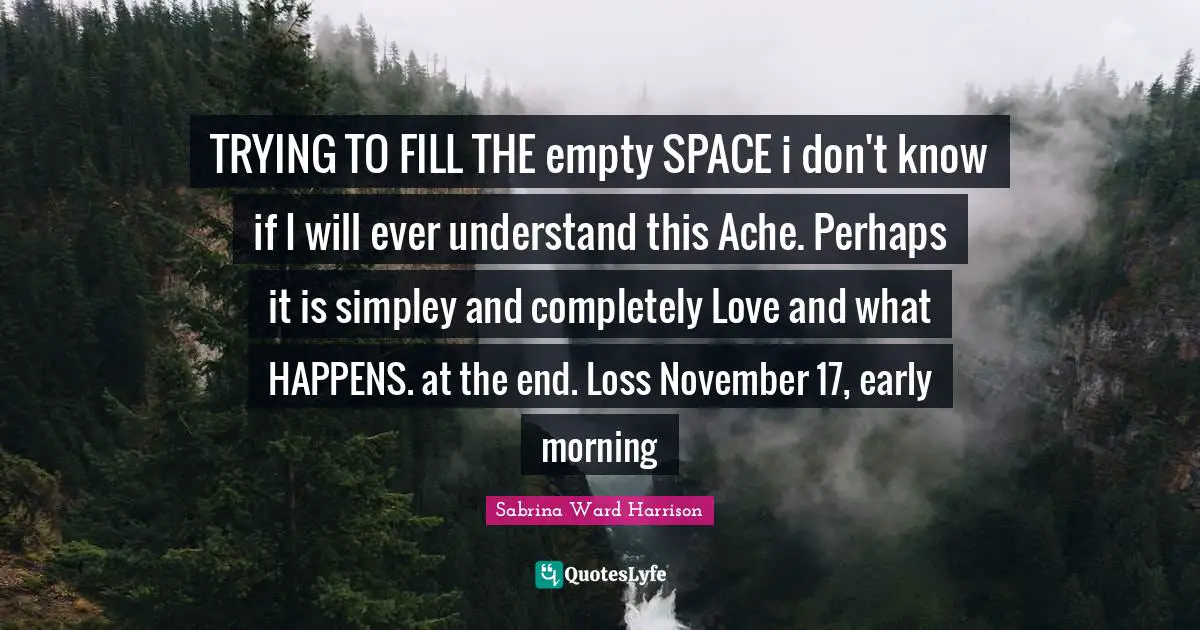 TRYING TO FILL THE empty SPACE i don't know if I will ever understand this Ache. Perhaps it is simpley and completely Love and what HAPPENS. at the end. Loss November 17, early morning