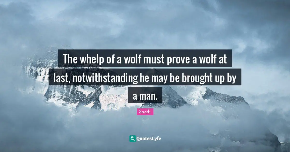 The whelp of a wolf must prove a wolf at last, notwithstanding he may be brought up by a man.