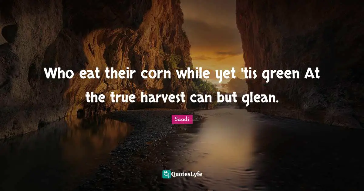 Who eat their corn while yet 'tis green At the true harvest can but glean.