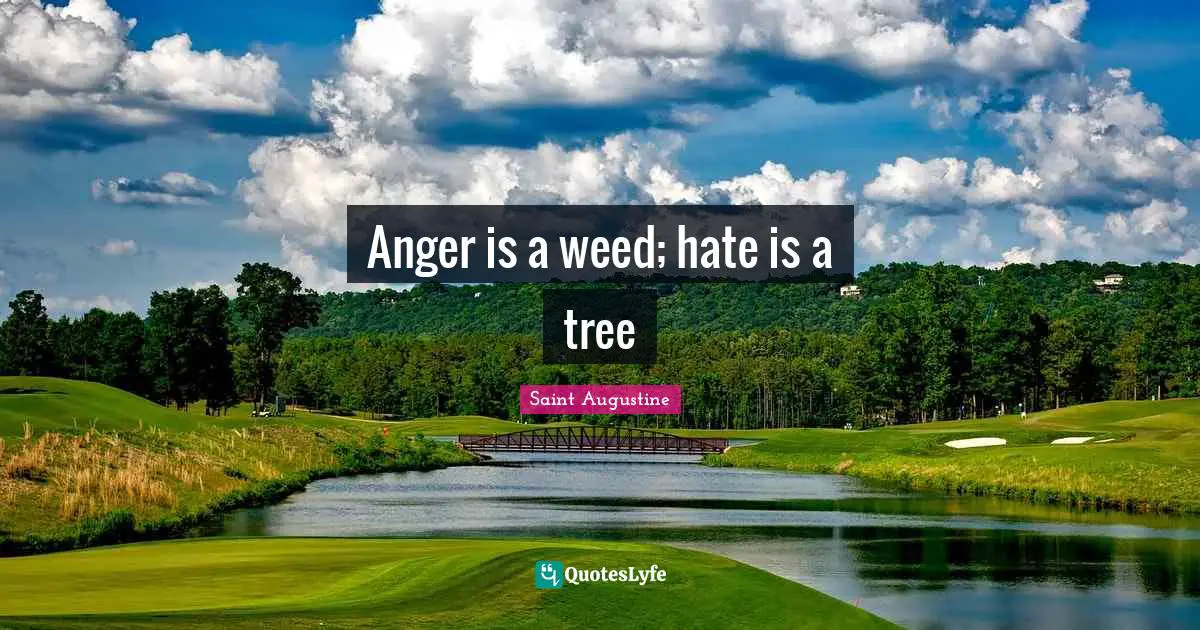 Anger is a weed; hate is a tree