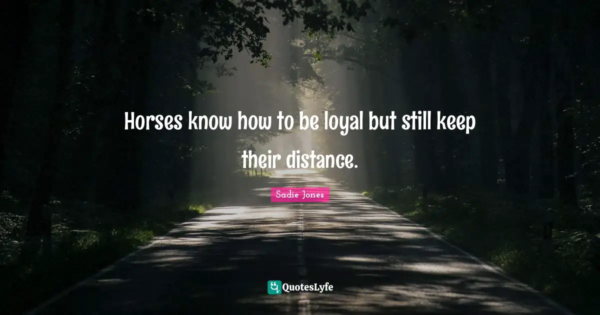 Horses know how to be loyal but still keep their distance.