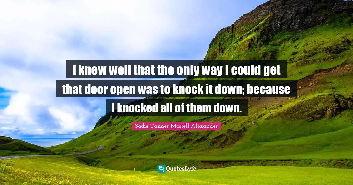African American Quotes: "I knew well that the only way I could get that door open was to knock it down; because I knocked all of them down."