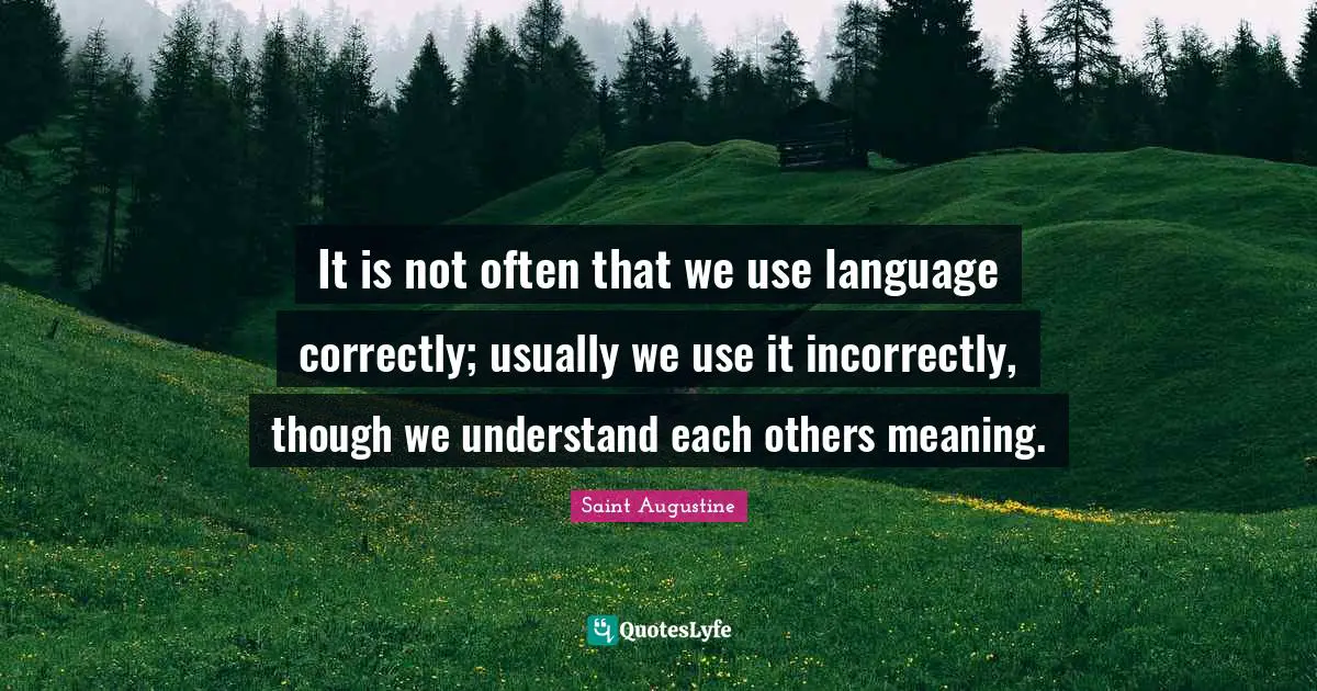 It is not often that we use language correctly; usually we use it incorrectly, though we understand each others meaning.