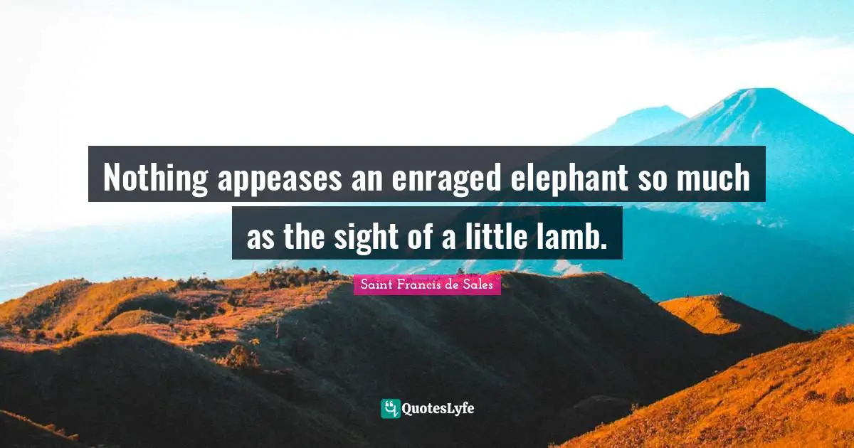 Nothing appeases an enraged elephant so much as the sight of a little lamb.