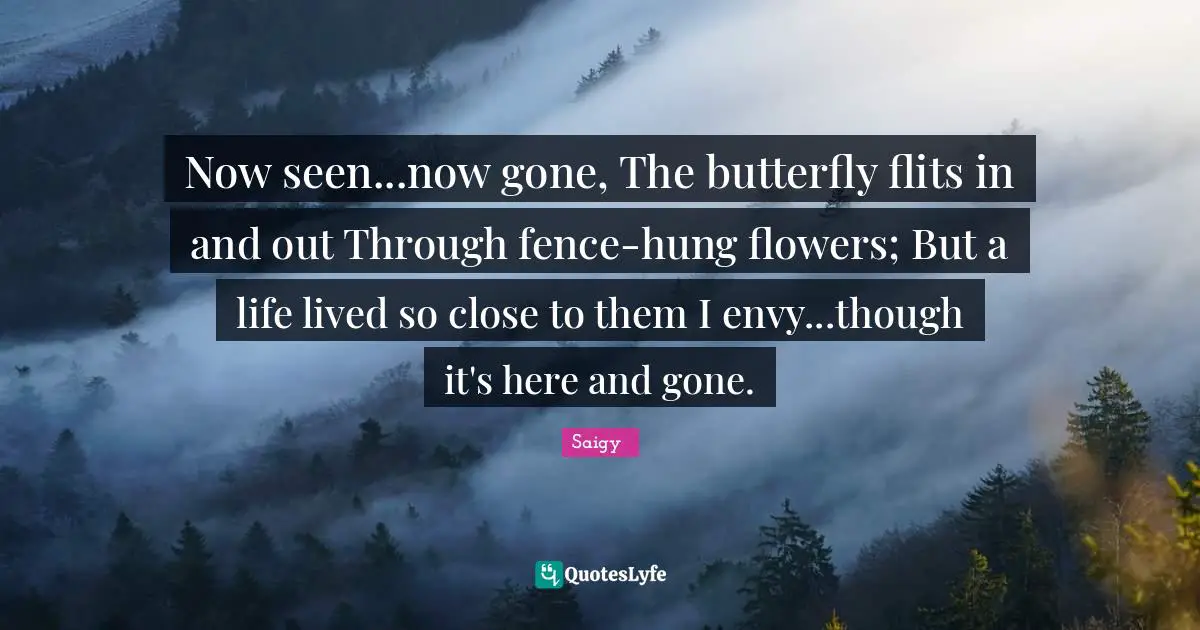 Now seen...now gone, The butterfly flits in and out Through fence-hung flowers; But a life lived so close to them I envy...though it's here and gone.