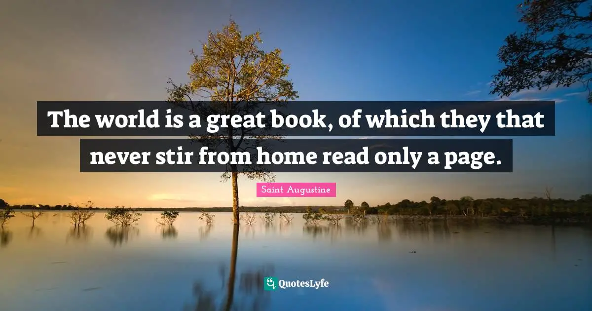 The world is a great book, of which they that never stir from home read only a page.