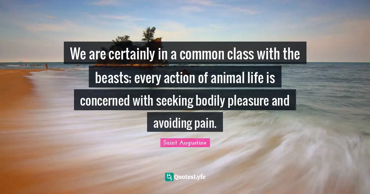 We are certainly in a common class with the beasts; every action of animal life is concerned with seeking bodily pleasure and avoiding pain.