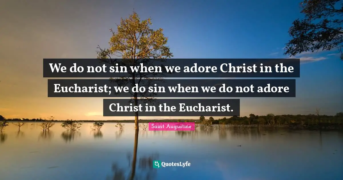 We do not sin when we adore Christ in the Eucharist; we do sin when we do not adore Christ in the Eucharist.