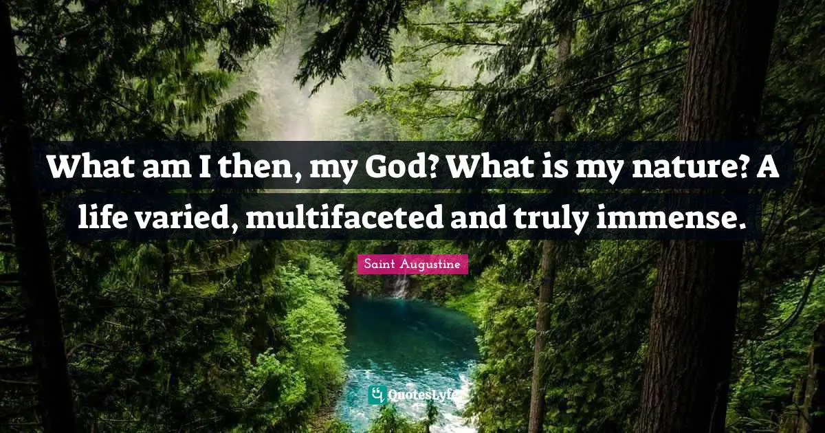 What am I then, my God? What is my nature? A life varied, multifaceted and truly immense.