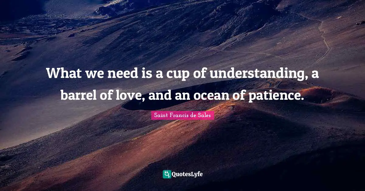 Saint Francis de Sales Quotes: What we need is a cup of understanding, a barrel of love, and an ocean of patience.