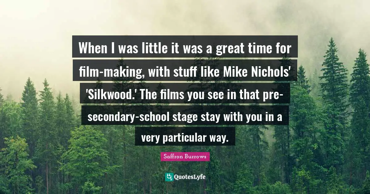 When I was little it was a great time for film-making, with stuff like Mike Nichols' 'Silkwood.' The films you see in that pre-secondary-school stage stay with you in a very particular way.