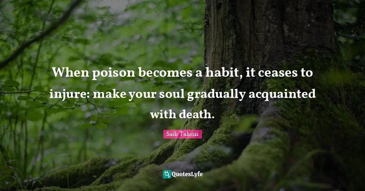 When poison becomes a habit, it ceases to injure: make your soul gradually acquainted with death.