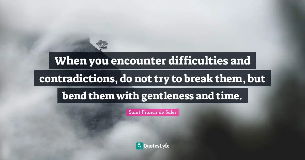 Encouragement Quotes: "When you encounter difficulties and contradictions, do not try to break them, but bend them with gentleness and time."