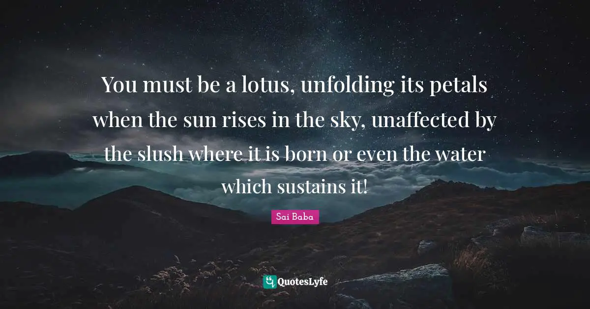 You must be a lotus, unfolding its petals when the sun rises in the sky, unaffected by the slush where it is born or even the water which sustains it!