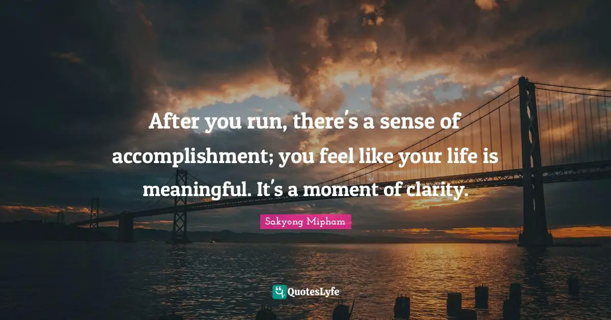 Sense Of Accomplishment Quotes: "After you run, there's a sense of accomplishment; you feel like your life is meaningful. It's a moment of clarity."