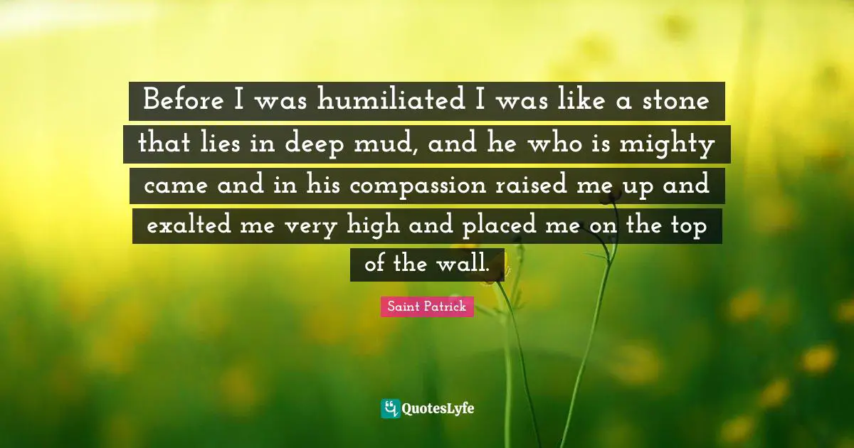 Saint Patrick Quotes: Before I was humiliated I was like a stone that lies in deep mud, and he who is mighty came and in his compassion raised me up and exalted me very high and placed me on the top of the wall.