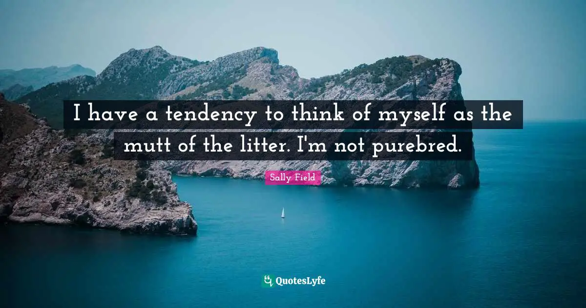 I have a tendency to think of myself as the mutt of the litter. I'm not purebred.