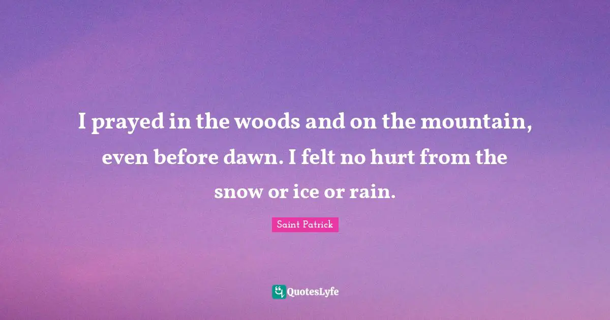 Saint Patrick Quotes: I prayed in the woods and on the mountain, even before dawn. I felt no hurt from the snow or ice or rain.