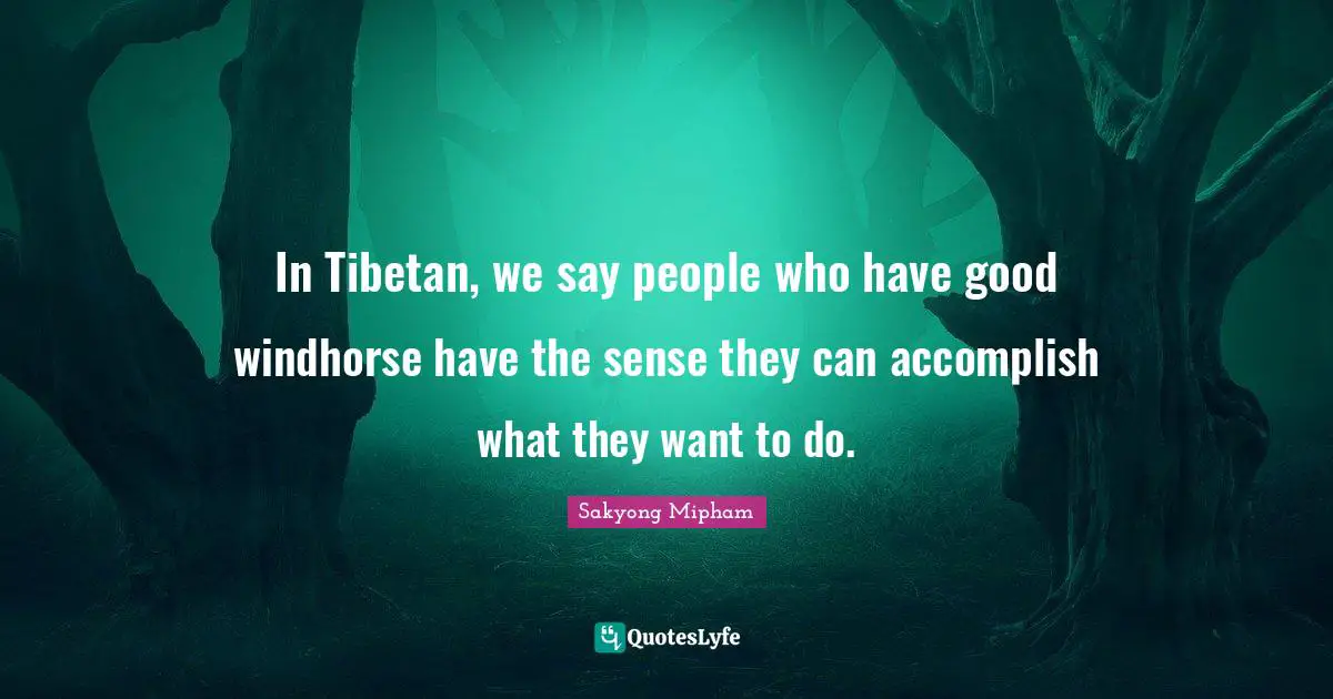 In Tibetan, we say people who have good windhorse have the sense they can accomplish what they want to do.