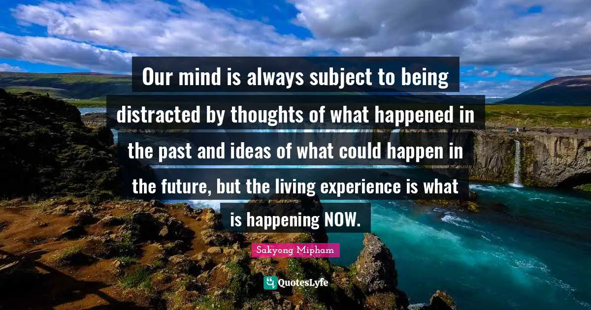 Distracted Quotes: "Our mind is always subject to being distracted by thoughts of what happened in the past and ideas of what could happen in the future, but the living experience is what is happening NOW."