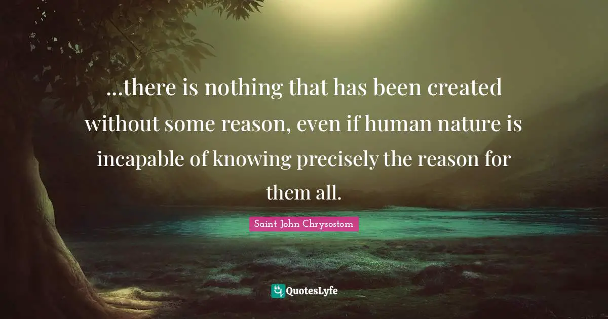 Saint John Chrysostom Quotes: "...there is nothing that has been created without some reason, even if human nature is incapable of knowing precisely the reason for them all."