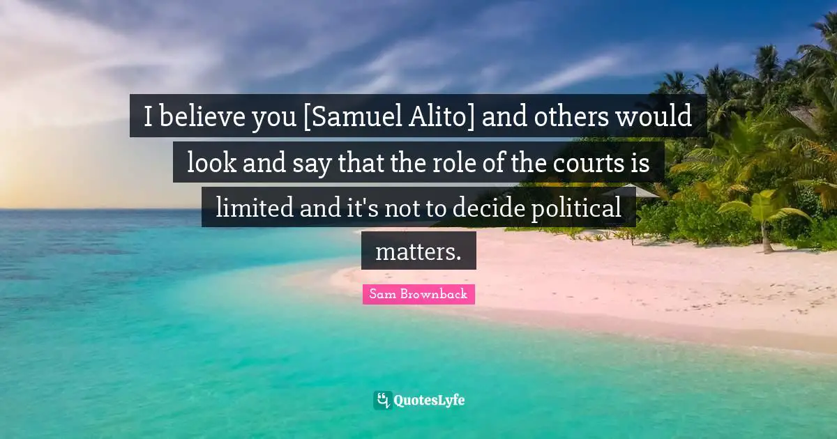 I believe you [Samuel Alito] and others would look and say that the role of the courts is limited and it's not to decide political matters.