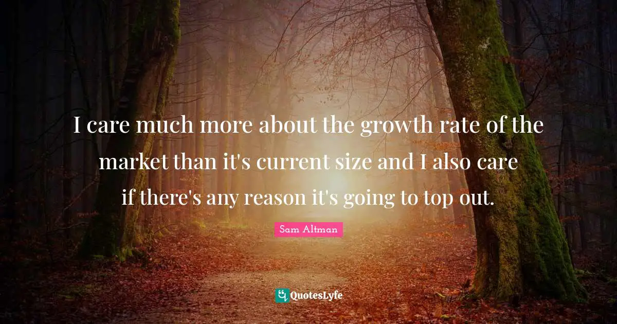 I care much more about the growth rate of the market than it's current size and I also care if there's any reason it's going to top out.