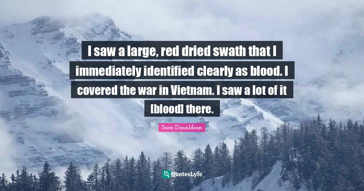 I saw a large, red dried swath that I immediately identified clearly as blood. I covered the war in Vietnam. I saw a lot of it [blood] there.