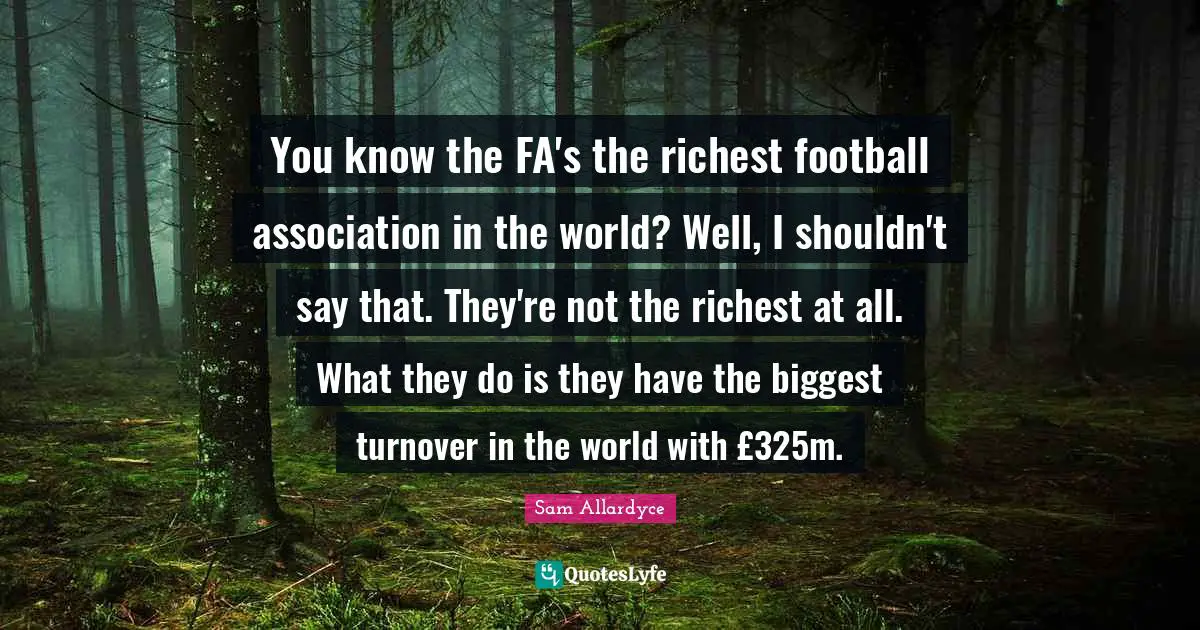 You know the FA's the richest football association in the world? Well, I shouldn't say that. They're not the richest at all. What they do is they have the biggest turnover in the world with £325m.