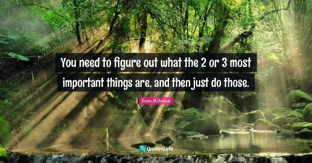 You need to figure out what the 2 or 3 most important things are, and then just do those.