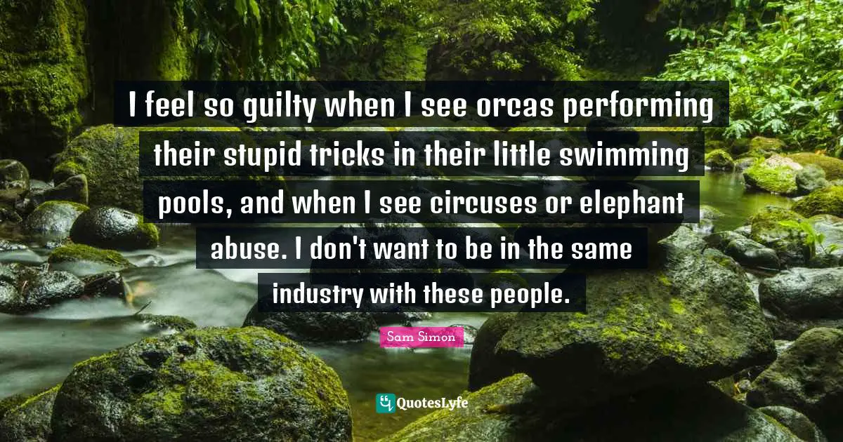 I feel so guilty when I see orcas performing their stupid tricks in their little swimming pools, and when I see circuses or elephant abuse. I don't want to be in the same industry with these people.