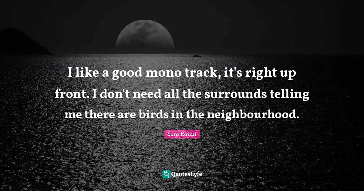 I like a good mono track, it's right up front. I don't need all the surrounds telling me there are birds in the neighbourhood.