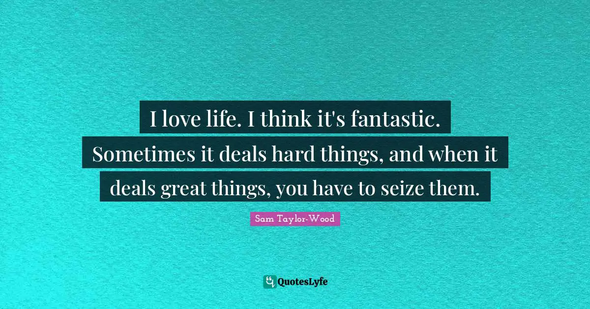 I love life. I think it's fantastic. Sometimes it deals hard things, and when it deals great things, you have to seize them.