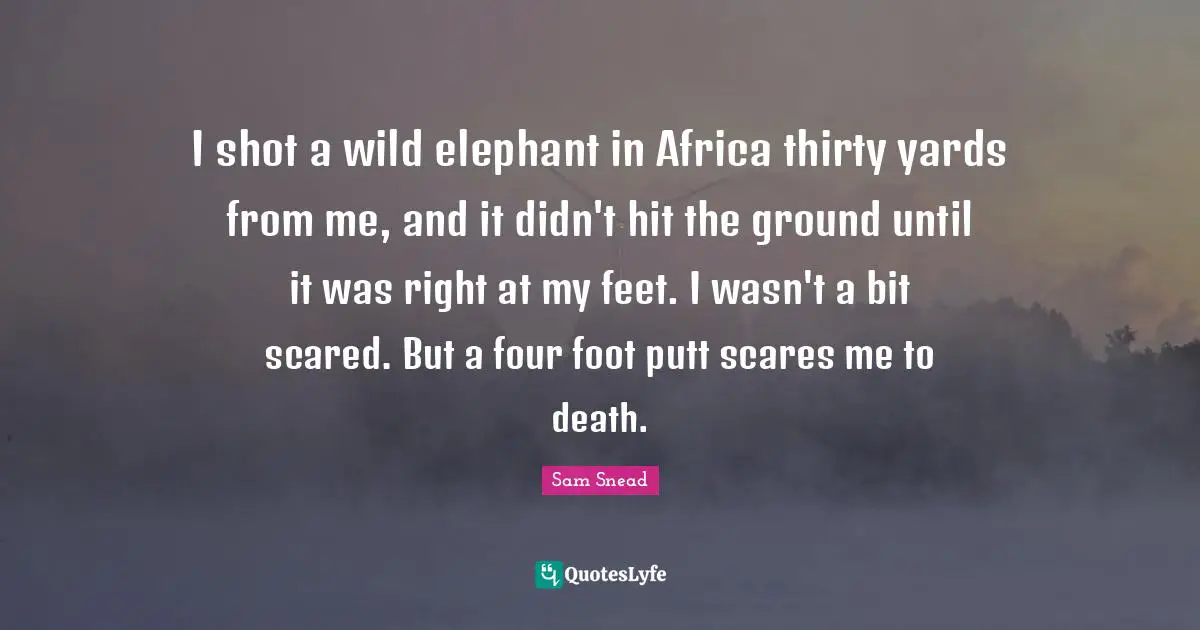 I shot a wild elephant in Africa thirty yards from me, and it didn't hit the ground until it was right at my feet. I wasn't a bit scared. But a four foot putt scares me to death.