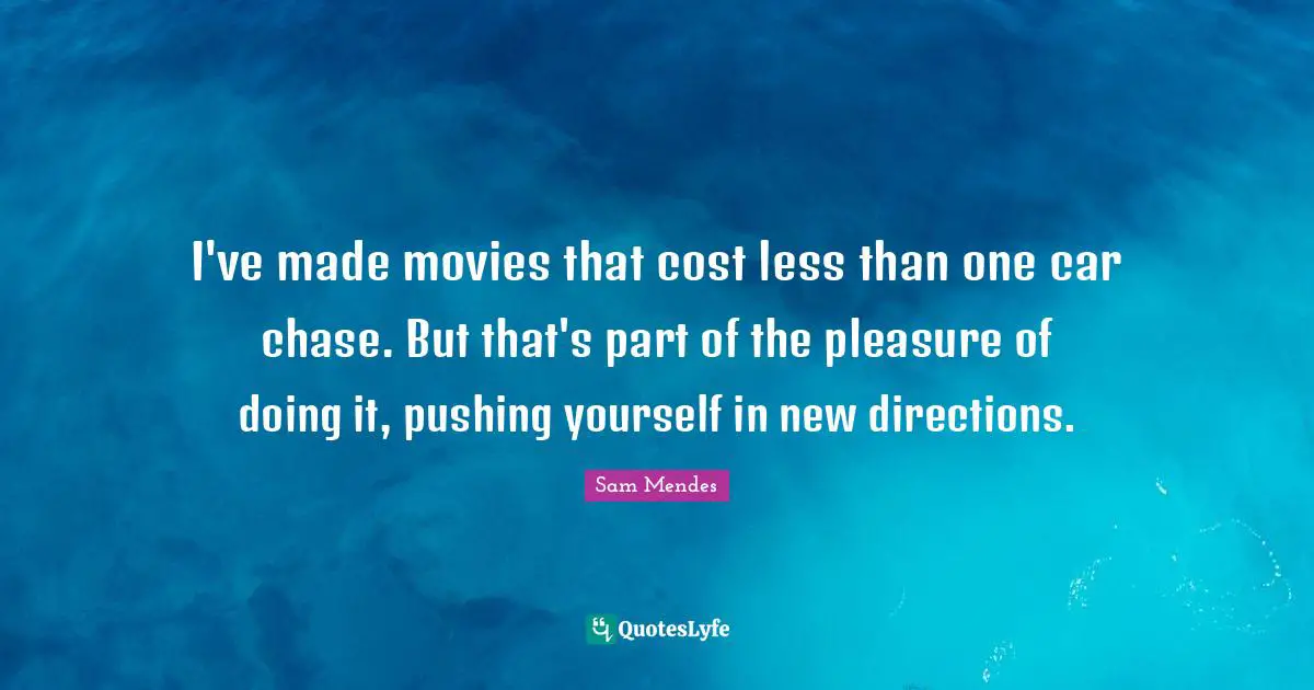I've made movies that cost less than one car chase. But that's part of the pleasure of doing it, pushing yourself in new directions.
