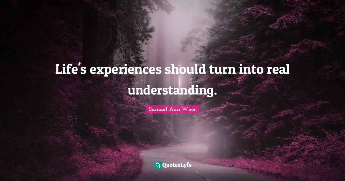 Life's experiences should turn into real understanding.