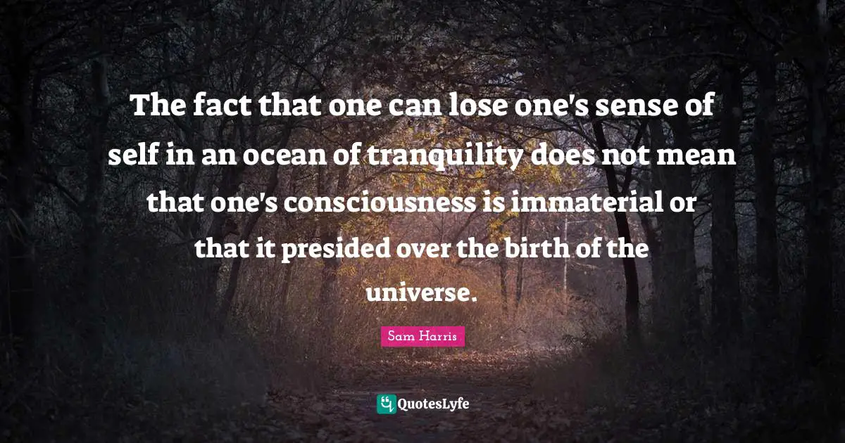 The fact that one can lose one's sense of self in an ocean of tranquility does not mean that one's consciousness is immaterial or that it presided over the birth of the universe.