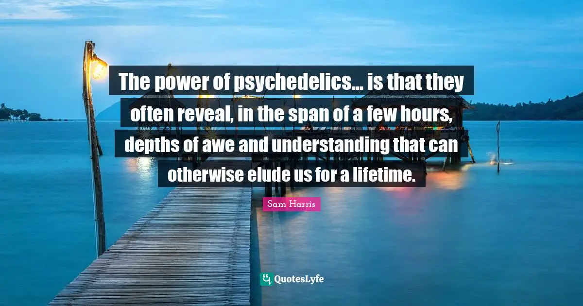 The power of psychedelics... is that they often reveal, in the span of a few hours, depths of awe and understanding that can otherwise elude us for a lifetime.