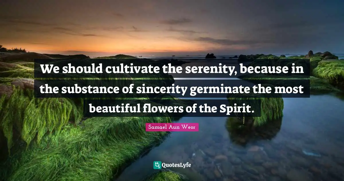 We should cultivate the serenity, because in the substance of sincerity germinate the most beautiful flowers of the Spirit.