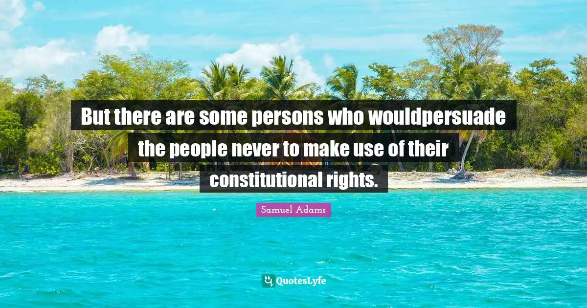 But there are some persons who wouldpersuade the people never to make use of their constitutional rights.