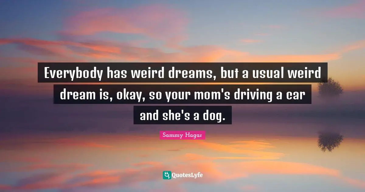 Everybody has weird dreams, but a usual weird dream is, okay, so your mom's driving a car and she's a dog.