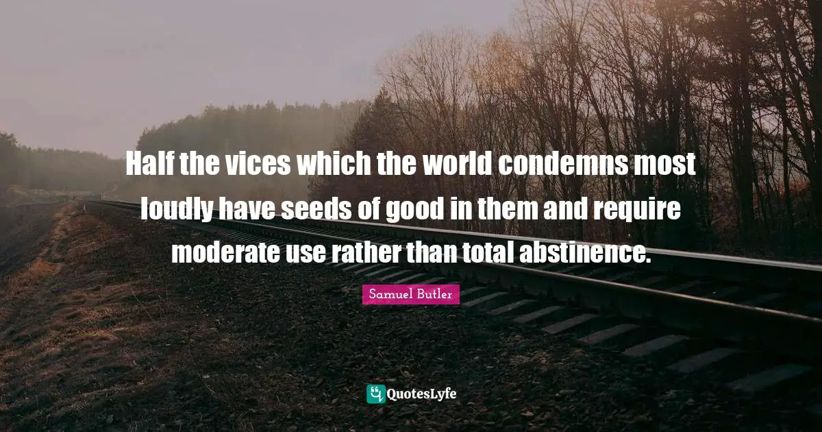 Half the vices which the world condemns most loudly have seeds of good in them and require moderate use rather than total abstinence.