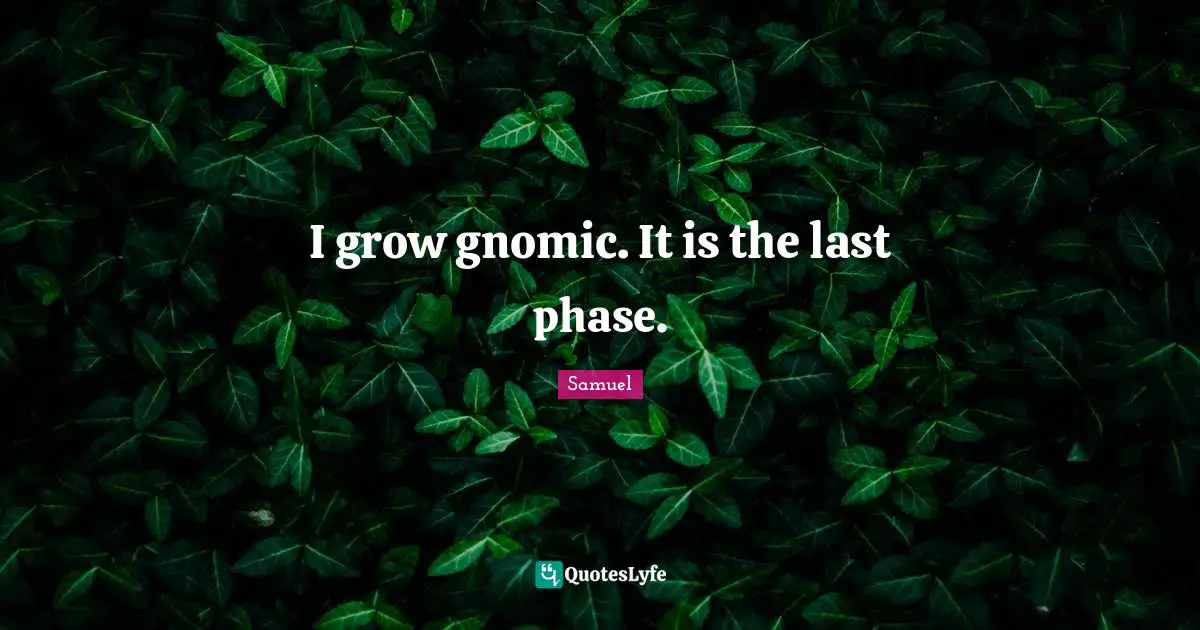 I grow gnomic. It is the last phase.