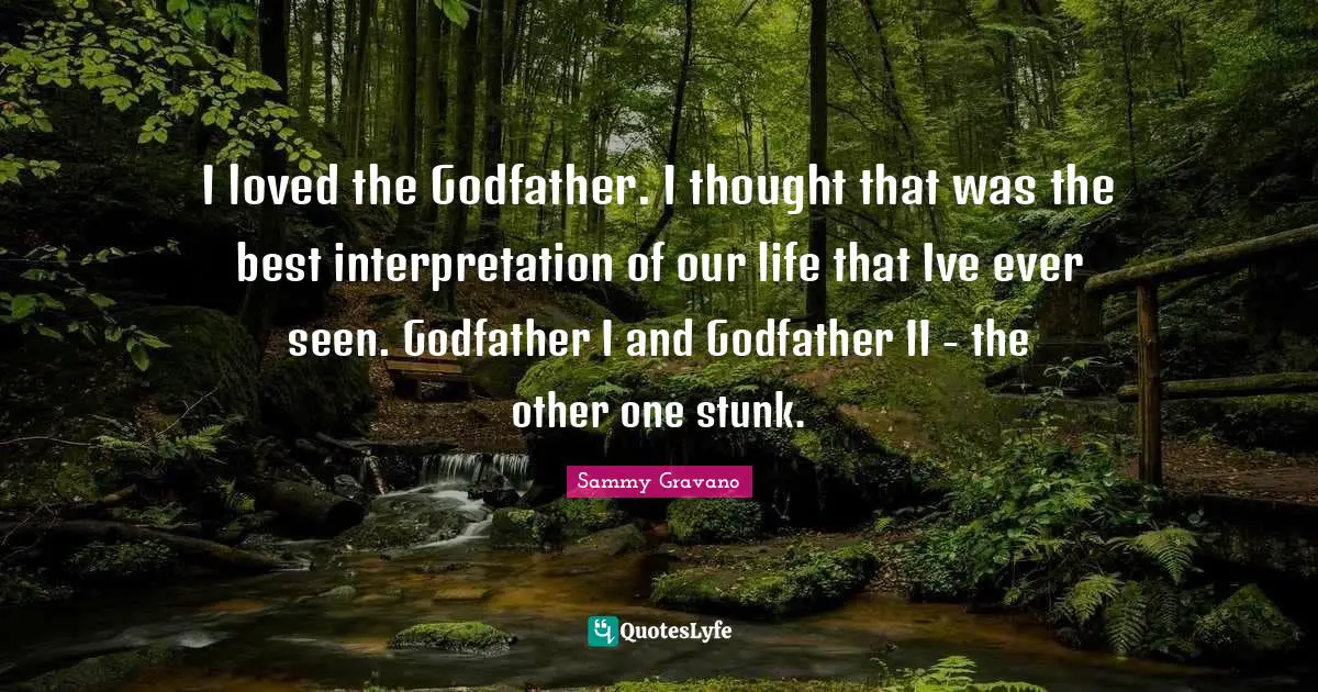 I loved the Godfather. I thought that was the best interpretation of our life that Ive ever seen. Godfather I and Godfather II - the other one stunk.