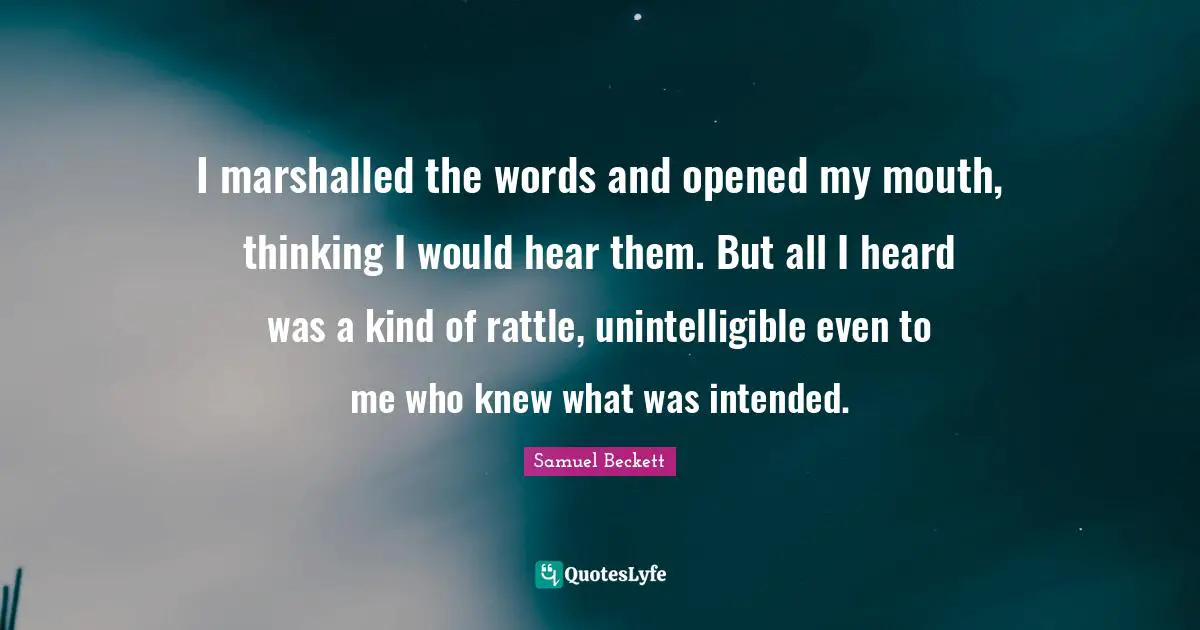 I marshalled the words and opened my mouth, thinking I would hear them. But all I heard was a kind of rattle, unintelligible even to me who knew what was intended.