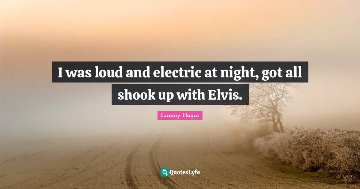 I was loud and electric at night, got all shook up with Elvis.