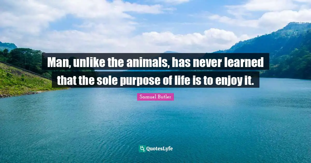 Man, unlike the animals, has never learned that the sole purpose of life is to enjoy it.