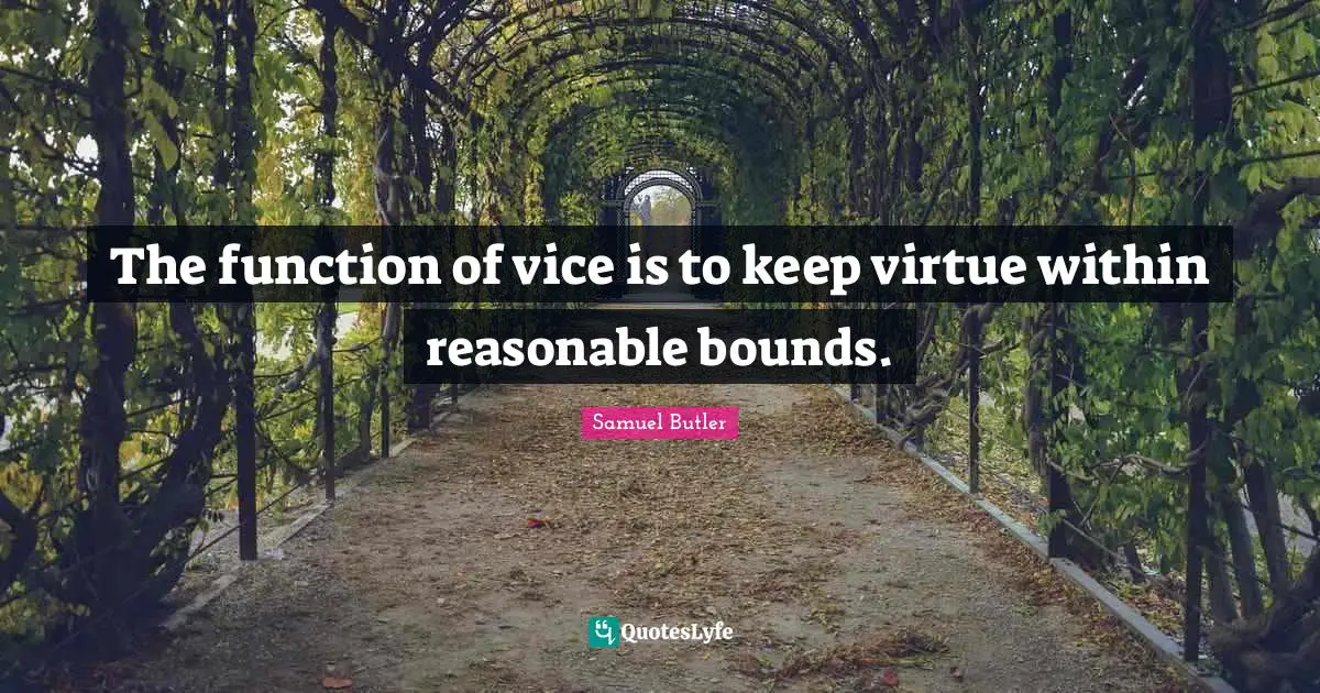 The function of vice is to keep virtue within reasonable bounds.